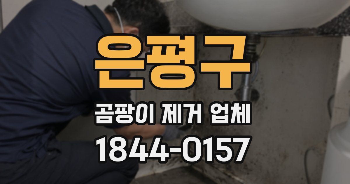 은평구 곰팡이 제거 업체