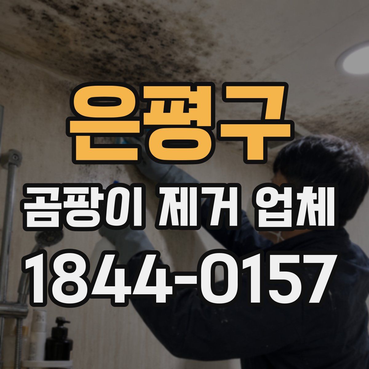 은평구 곰팡이 제거 업체