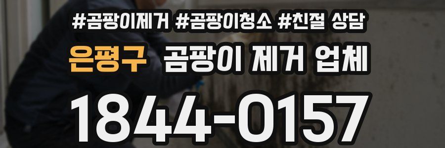 은평구 곰팡이 제거 업체