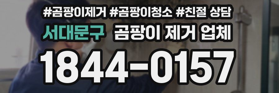 서대문구 곰팡이 제거 업체