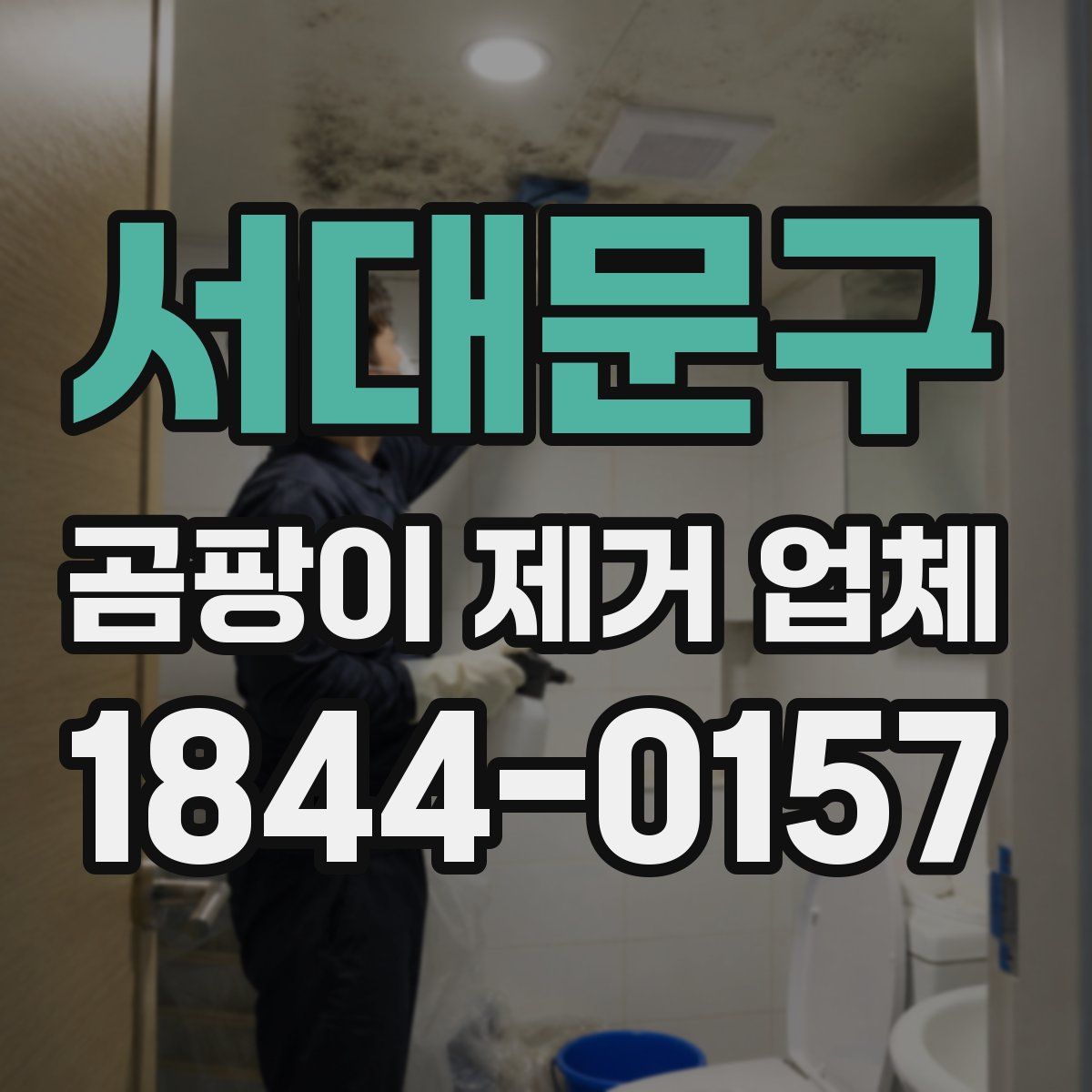 서대문구 곰팡이 제거 업체