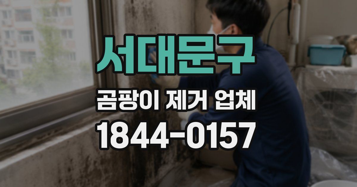 서대문구 곰팡이 제거 업체