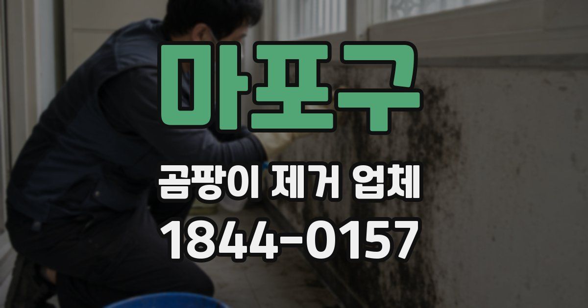 마포구 곰팡이 제거 업체