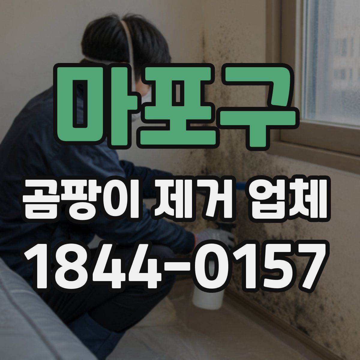 마포구 곰팡이 제거 업체