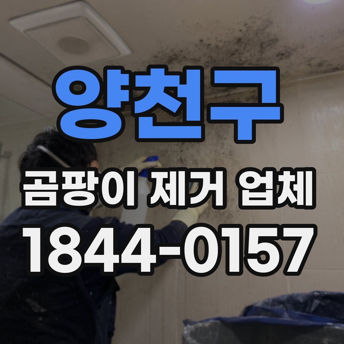 양천구 곰팡이 제거 업체 상담과 견적 비교를 함께 보는 법