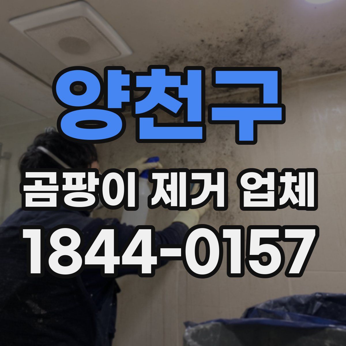양천구 곰팡이 제거 업체