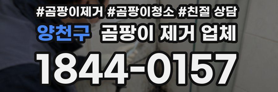 양천구 곰팡이 제거 업체