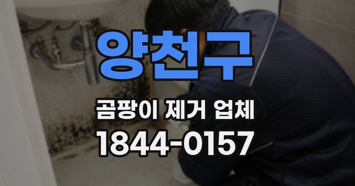 양천구 곰팡이 제거 업체
