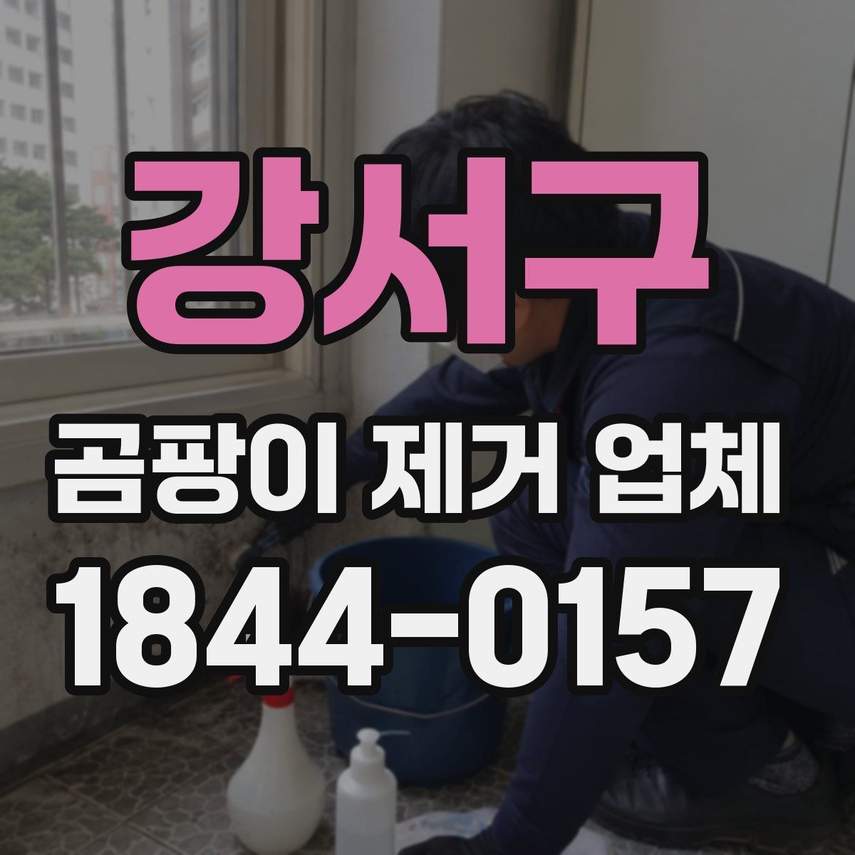 강서구 곰팡이 제거 업체