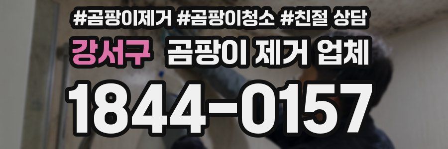 강서구 곰팡이 제거 업체