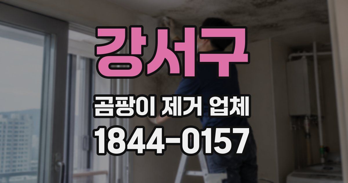강서구 곰팡이 제거 업체
