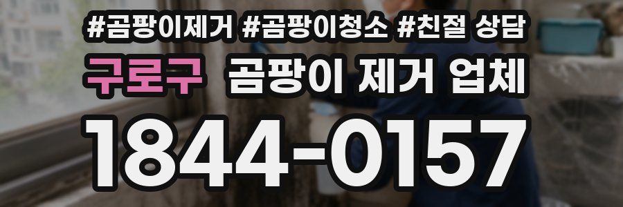 구로구 곰팡이 제거 업체