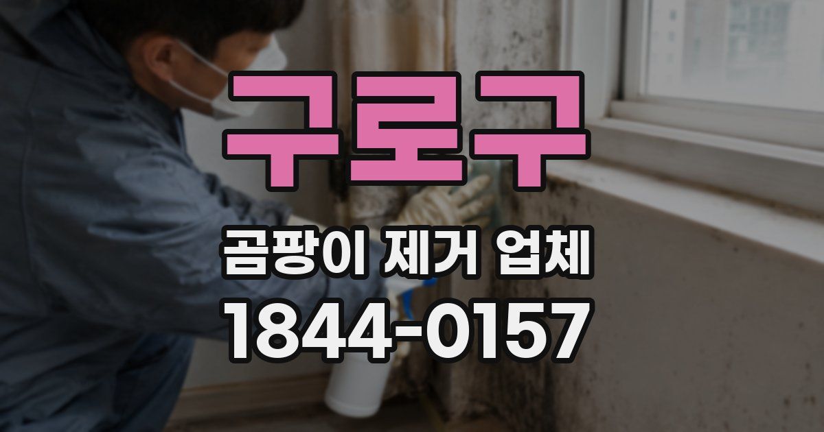 구로구 곰팡이 제거 업체
