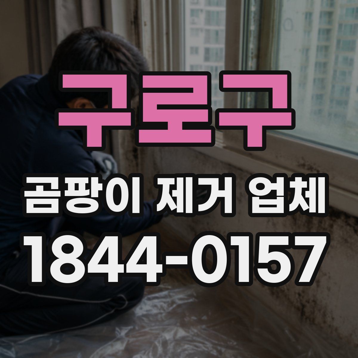 구로구 곰팡이 제거 업체