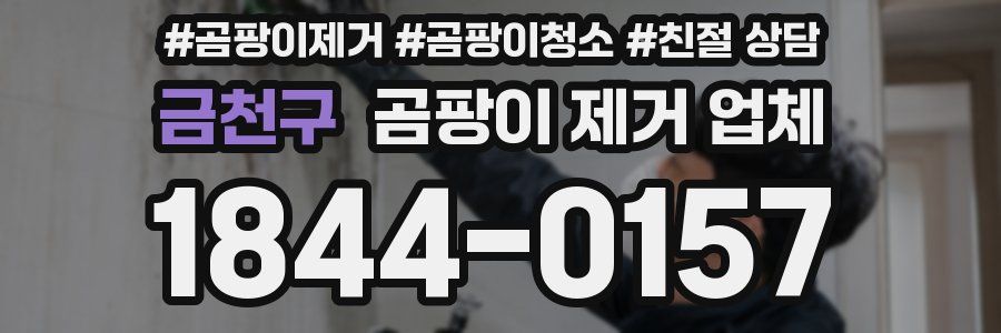 금천구 곰팡이 제거 업체