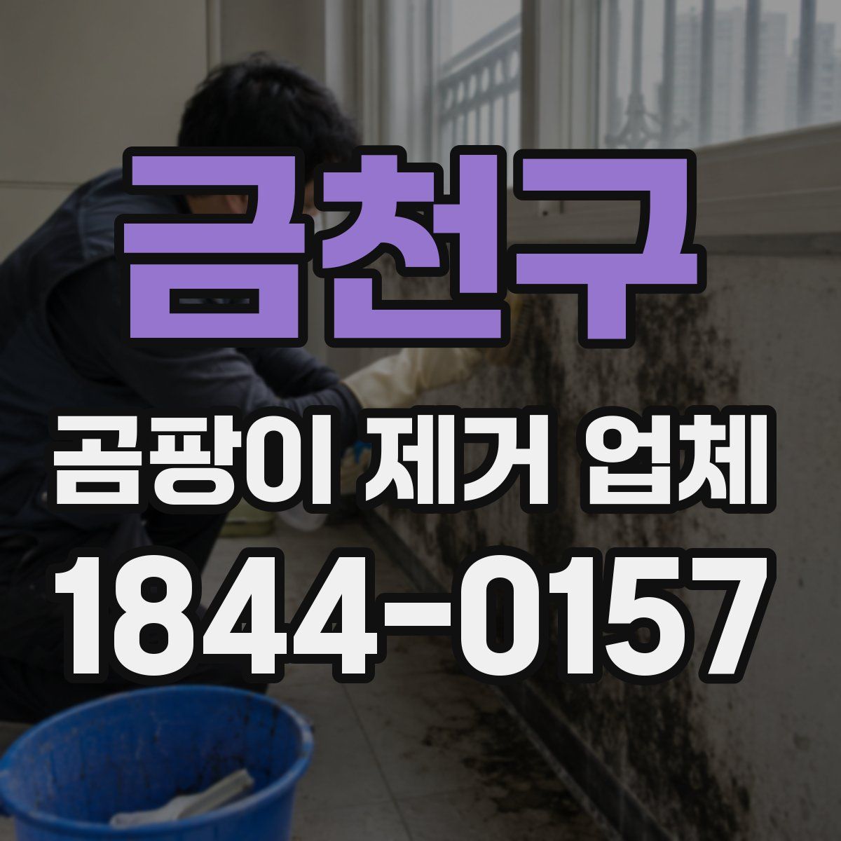 금천구 곰팡이 제거 업체