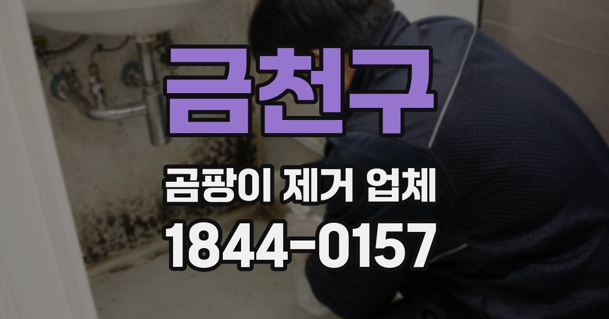 금천구 곰팡이 제거 업체