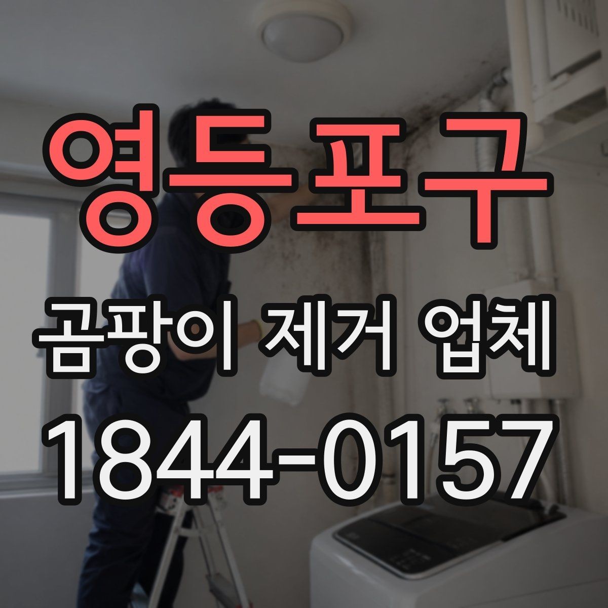 영등포구 곰팡이 제거 업체 선택에 영향을 주는 서비스 항목