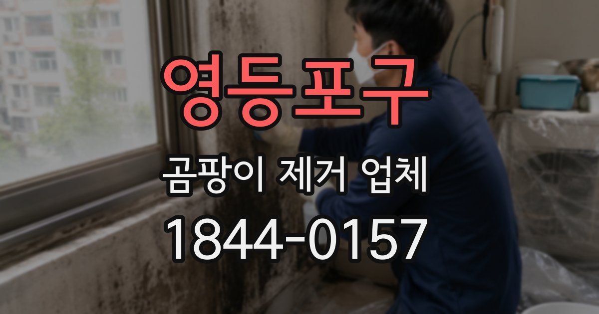 영등포구 곰팡이 제거 업체