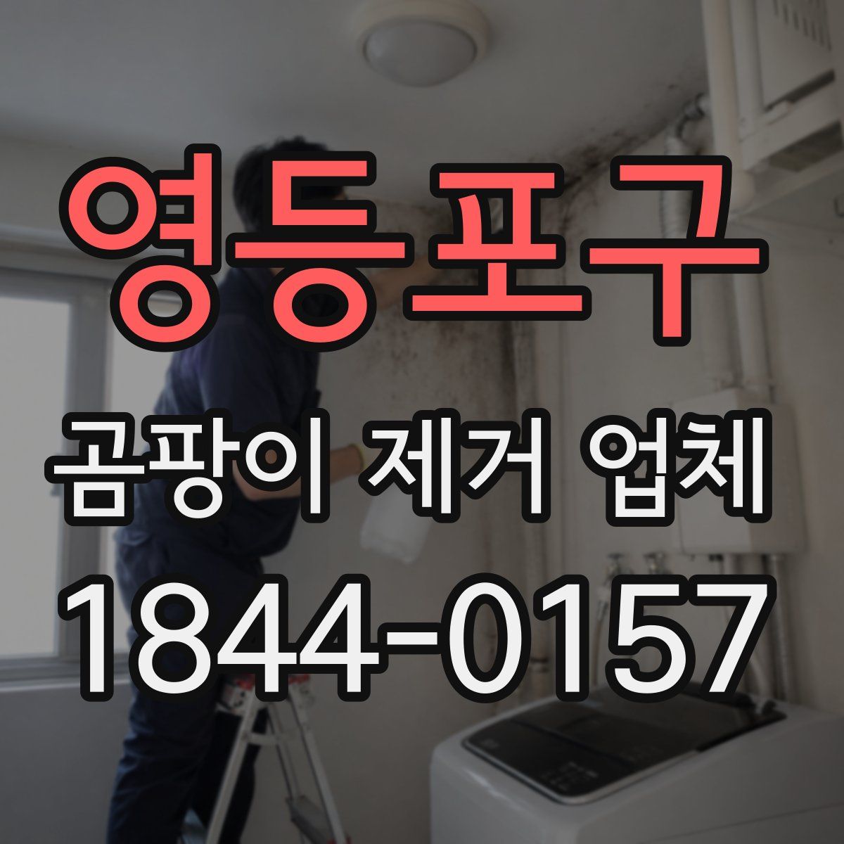 영등포구 곰팡이 제거 업체