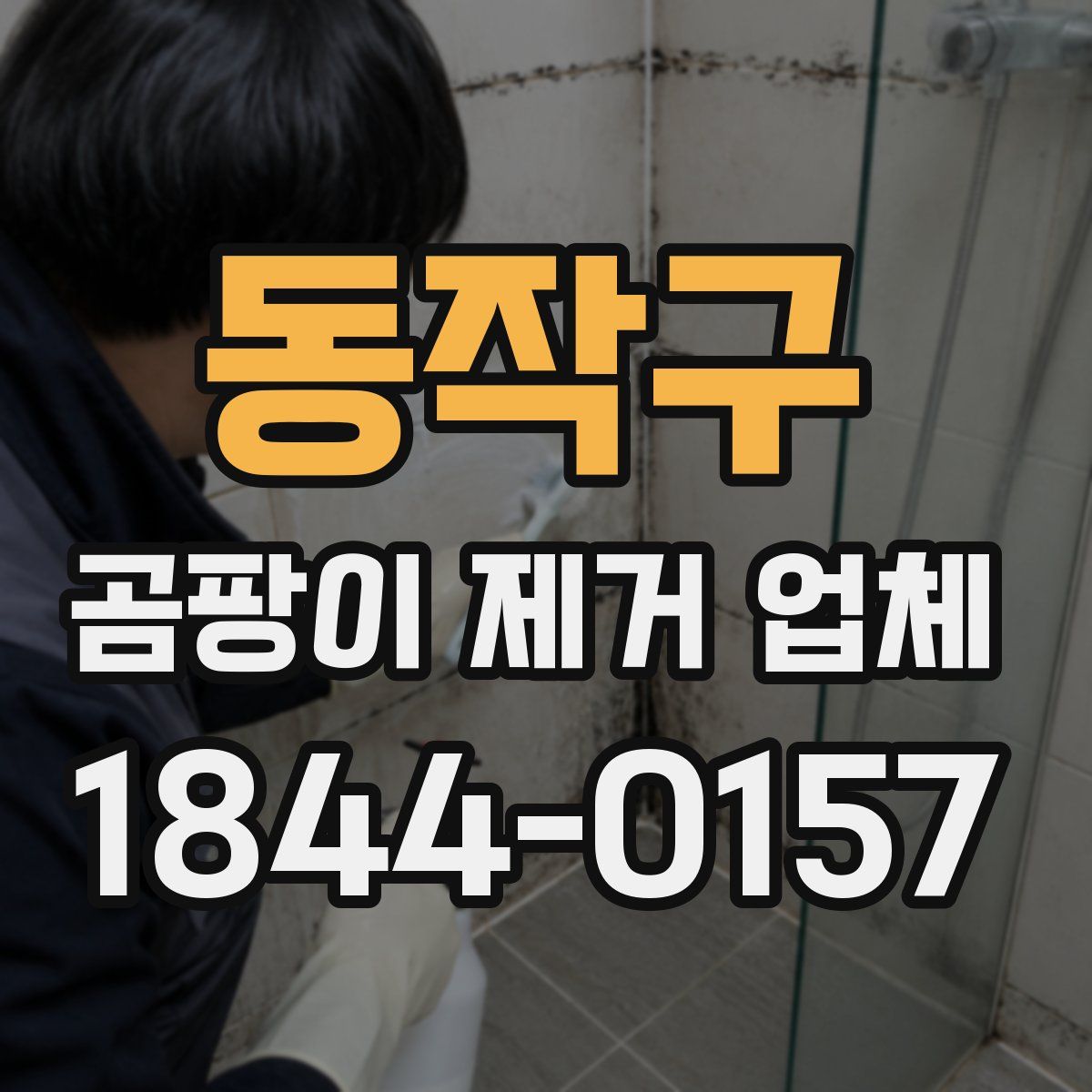 동작구 곰팡이 제거 업체