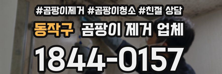 동작구 곰팡이 제거 업체