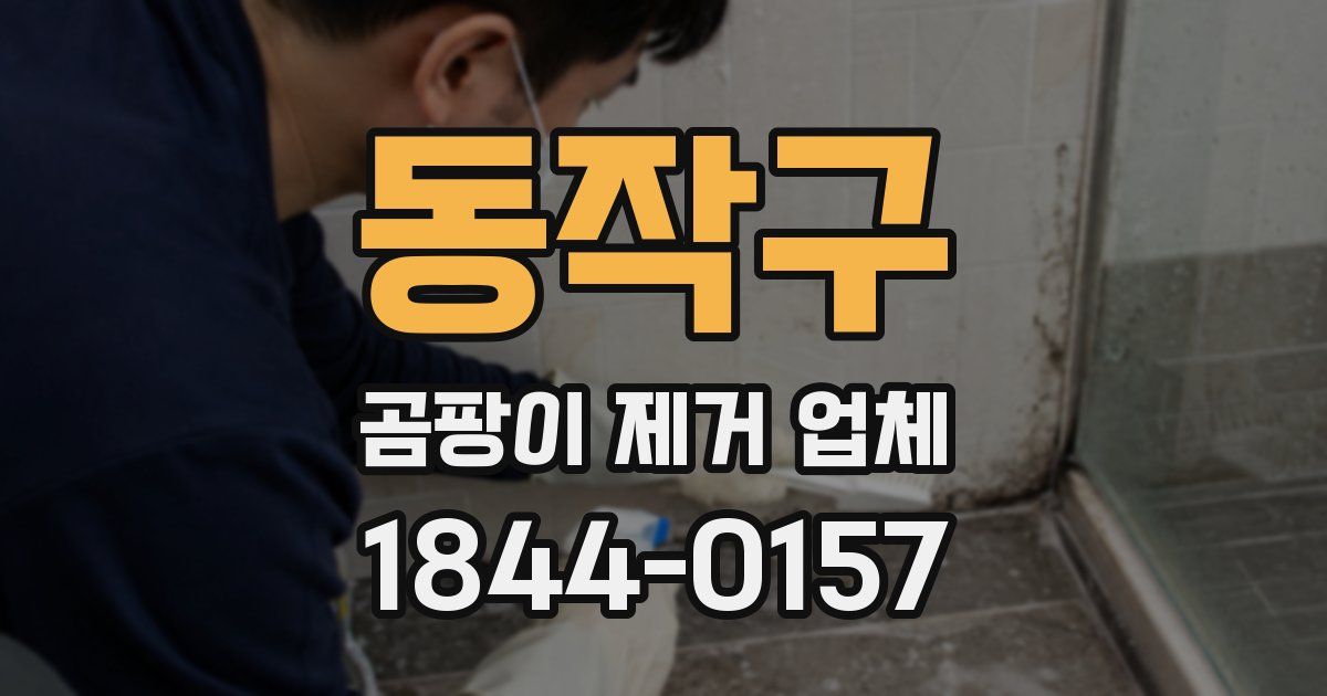 동작구 곰팡이 제거 업체