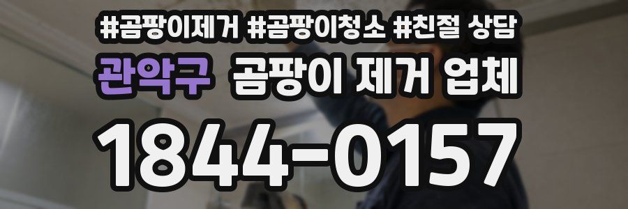 관악구 곰팡이 제거 업체