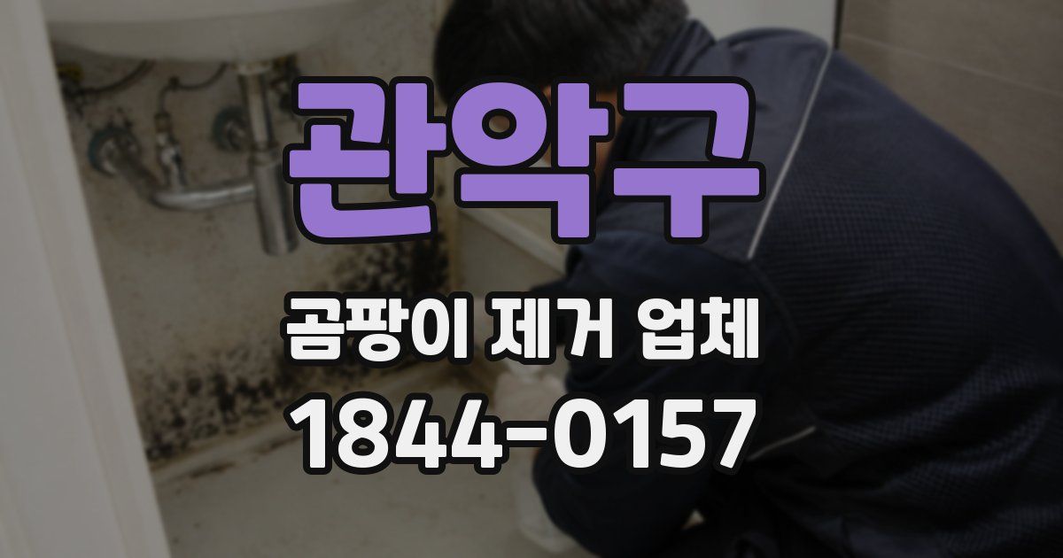 관악구 곰팡이 제거 업체
