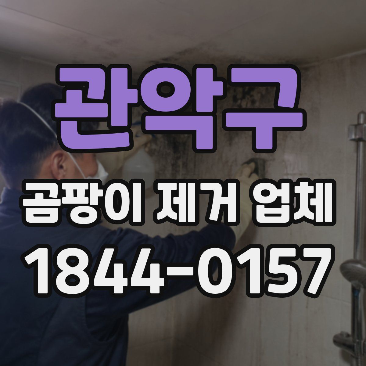 관악구 곰팡이 제거 업체