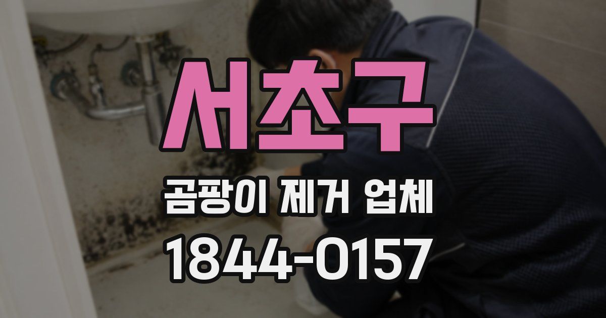 서초구 곰팡이 제거 업체
