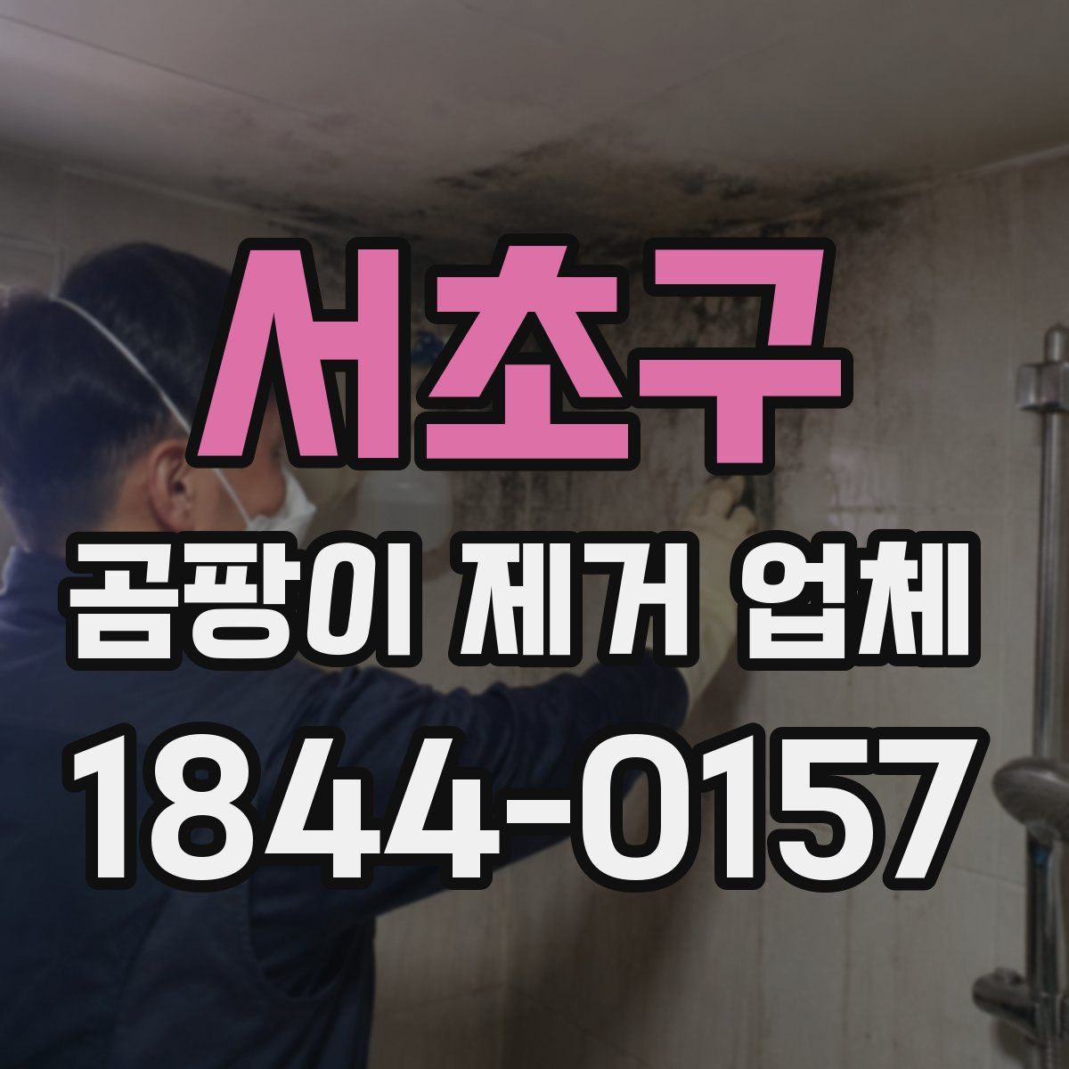 서초구 곰팡이 제거 업체