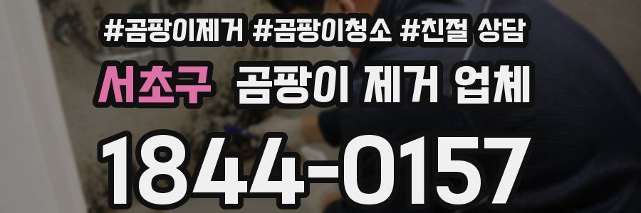 서초구 곰팡이 제거 업체