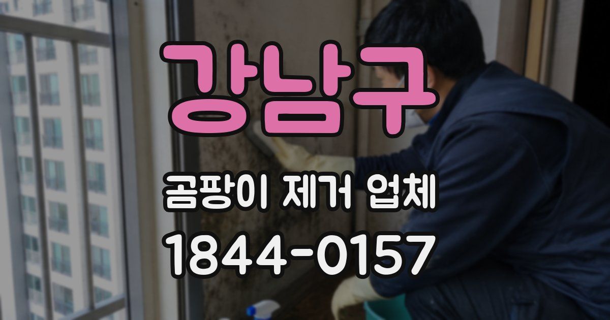 강남구 곰팡이 제거 업체