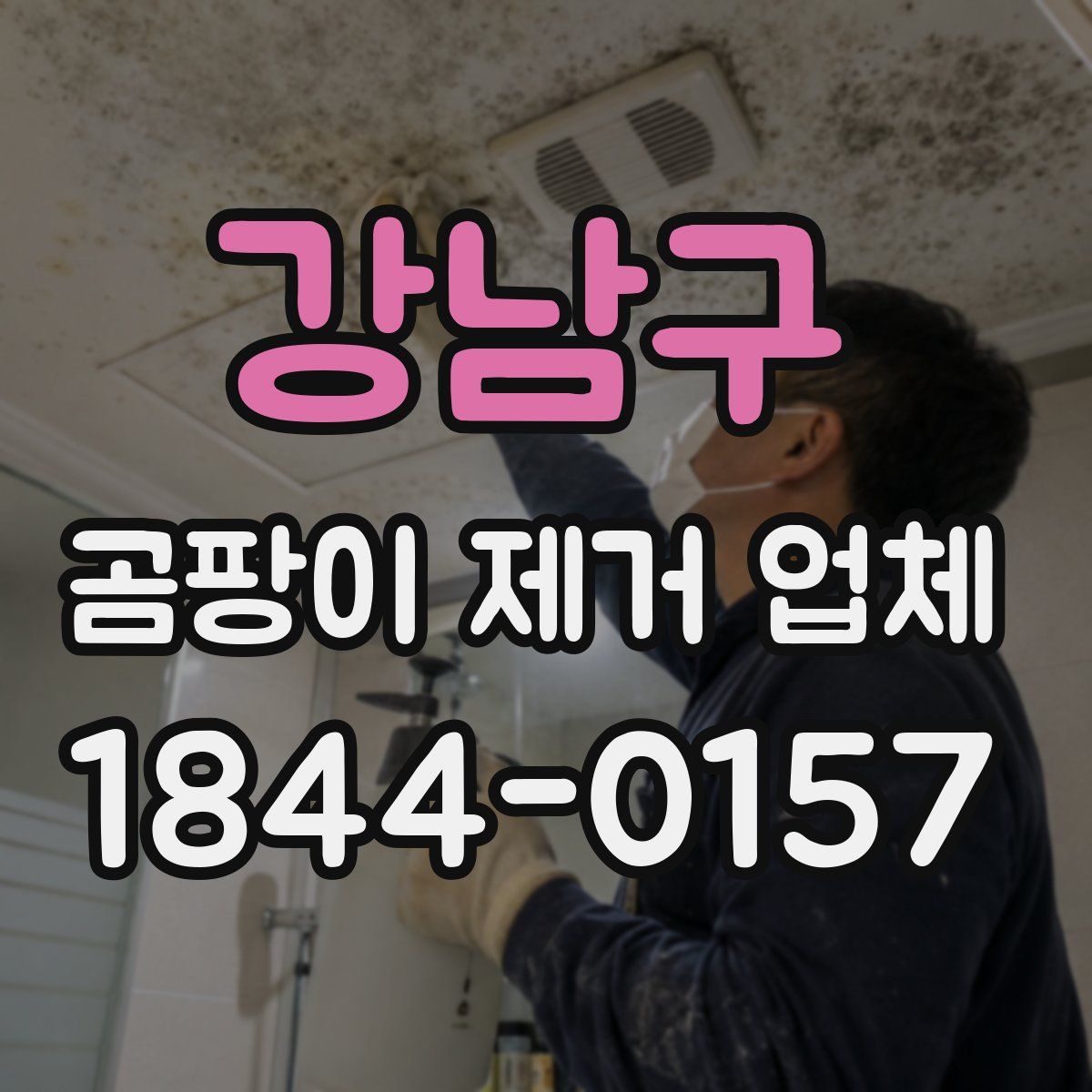 강남구 곰팡이 제거 업체