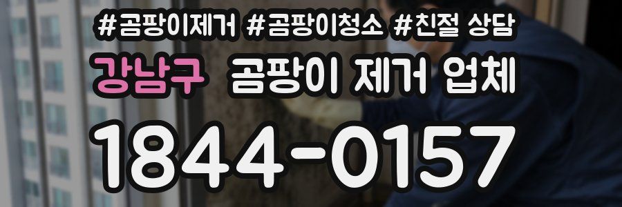 강남구 곰팡이 제거 업체
