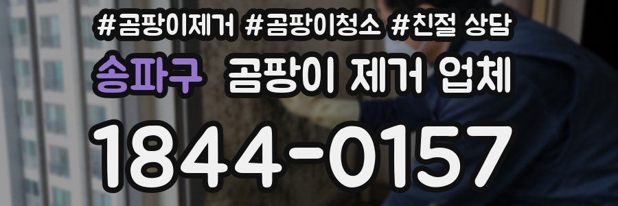 송파구 곰팡이 제거 업체