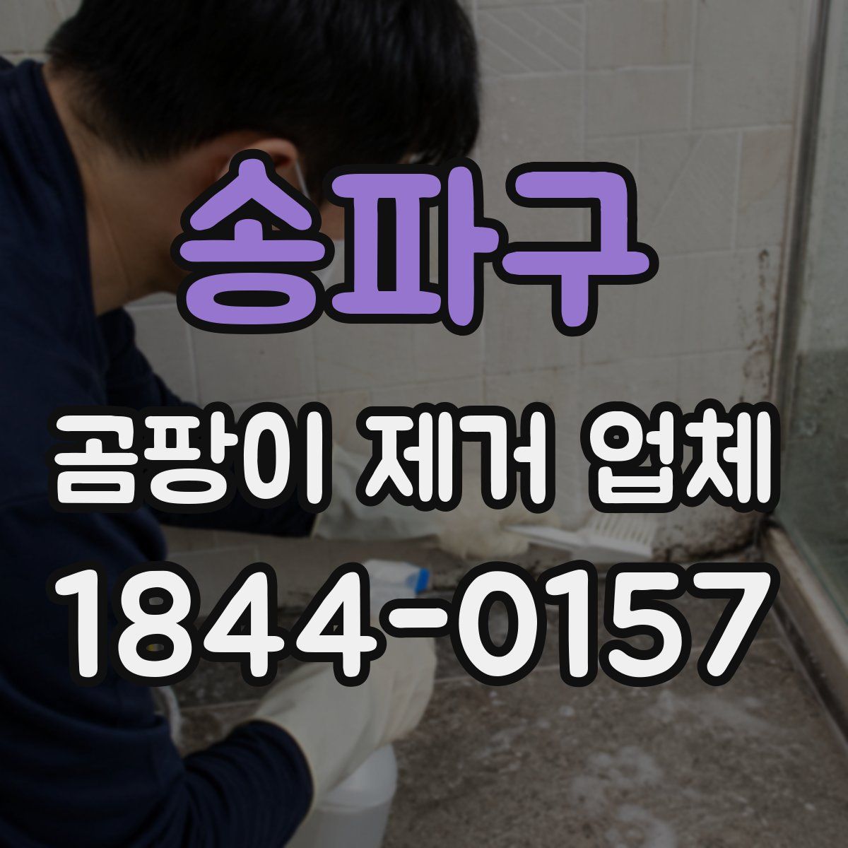 송파구 곰팡이 제거 업체