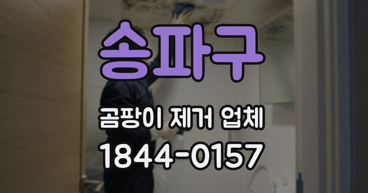 송파구 곰팡이 제거 업체