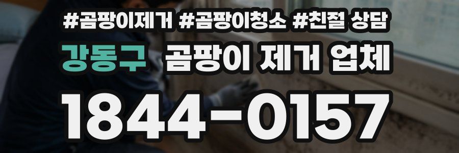 강동구 곰팡이 제거 업체