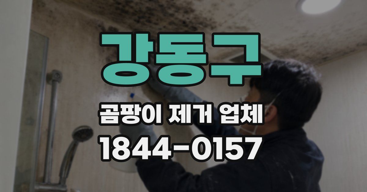 강동구 곰팡이 제거 업체