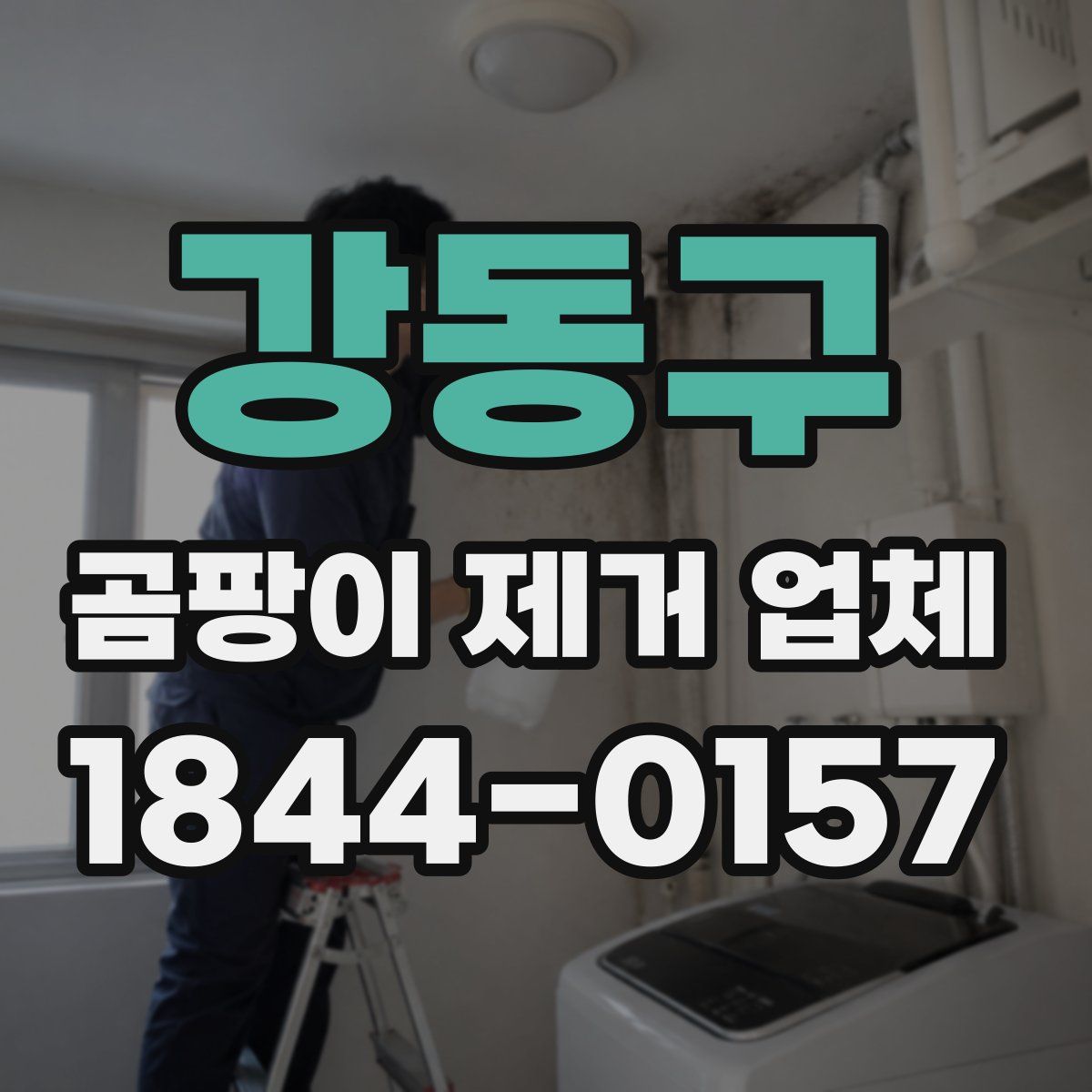 강동구 곰팡이 제거 업체