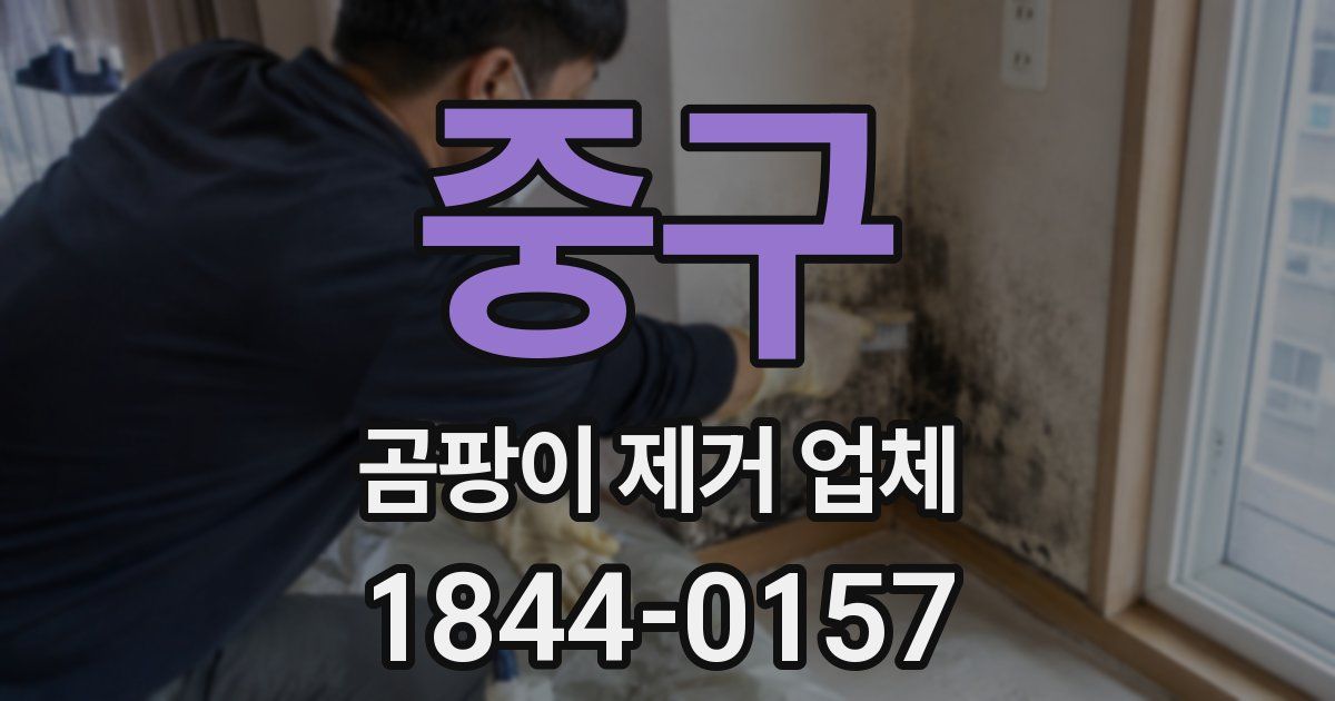 중구 곰팡이 제거 업체