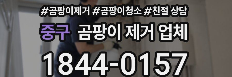 중구 곰팡이 제거 업체