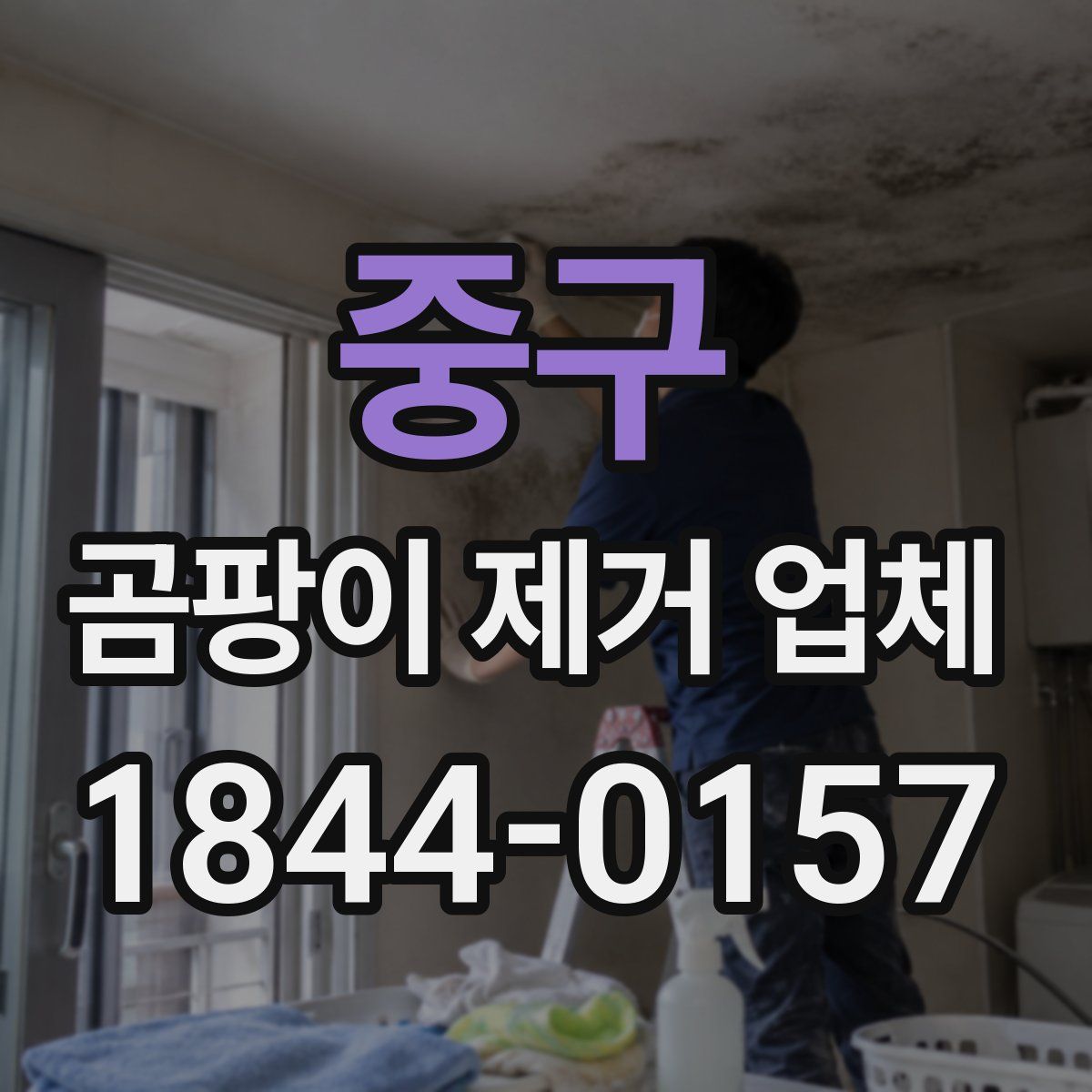 중구 곰팡이 제거 업체