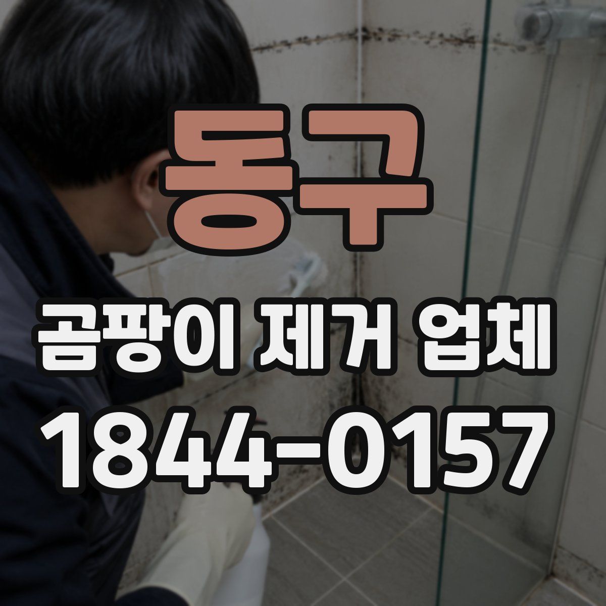 동구 곰팡이 제거 업체