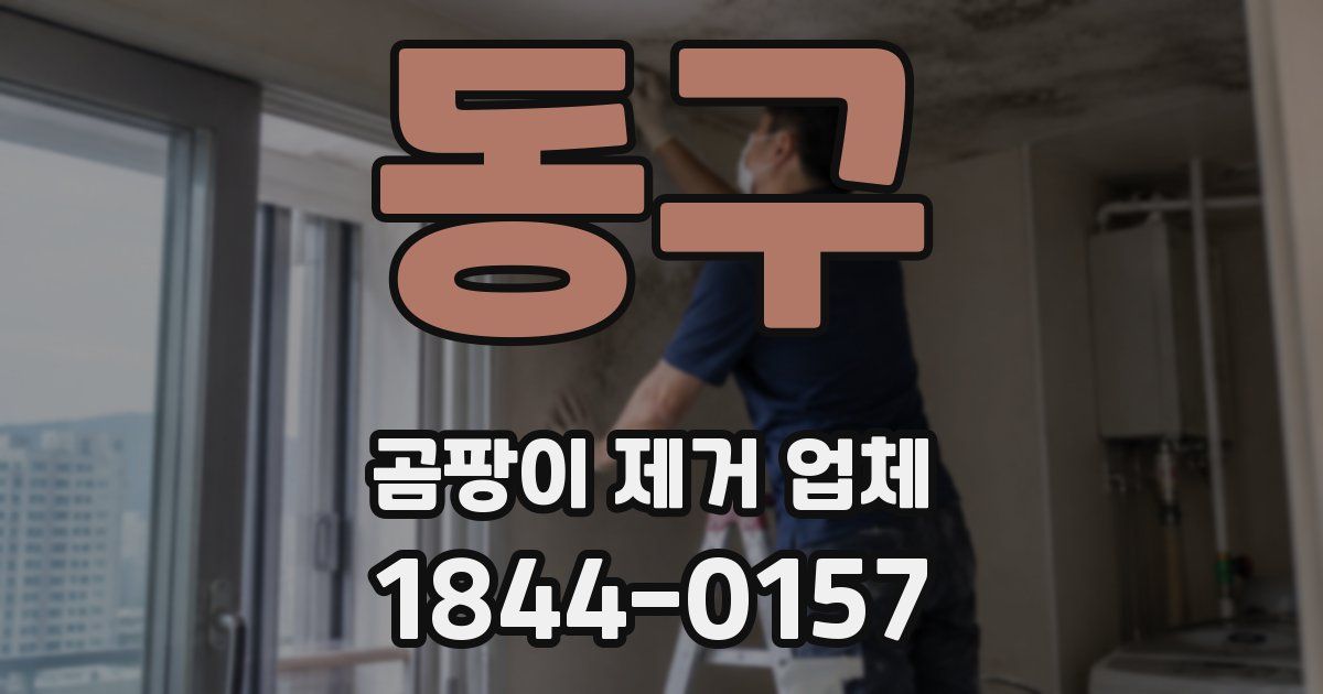동구 곰팡이 제거 업체