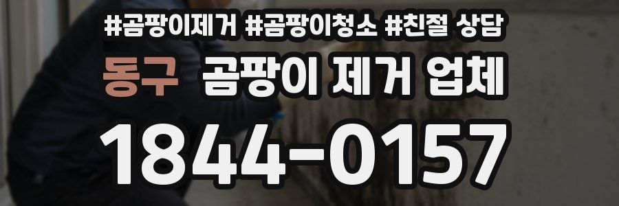 동구 곰팡이 제거 업체