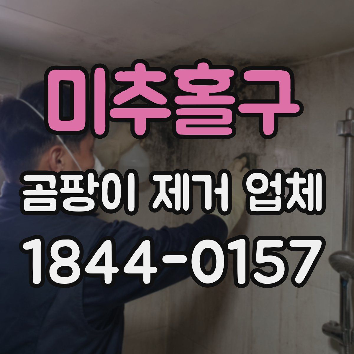 미추홀구 곰팡이 제거 업체