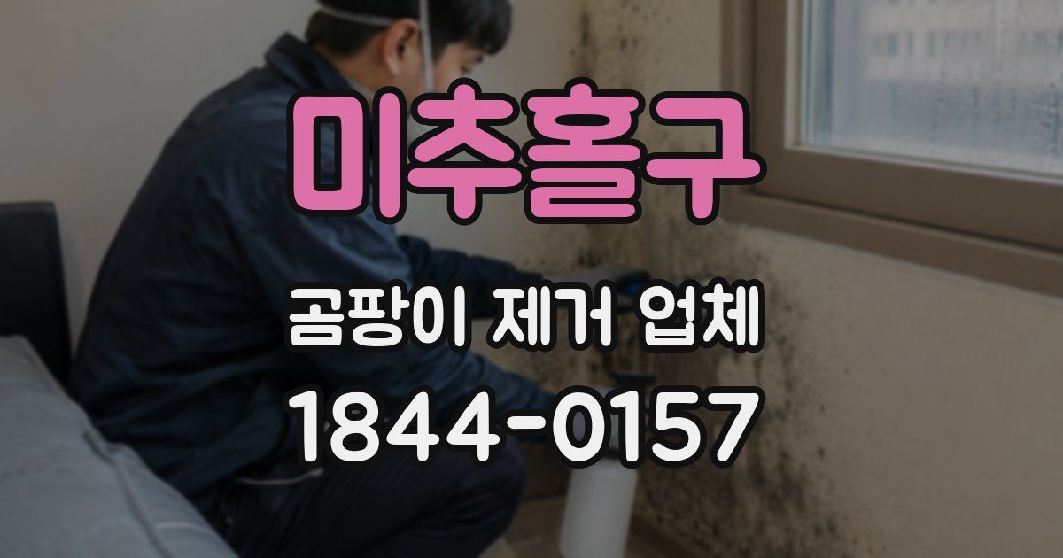 미추홀구 곰팡이 제거 업체